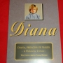 Colección de estampillas Diana Princess of Wales