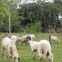 se vende finca