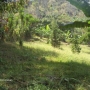 venta de propiedad en la montaña, a tan solo 30 min de San Jose, 3.425 mts 2