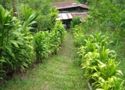 Se vende finca con vista panorámica a excelente precio
