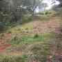 Venta de Finca en Tabarcia 1 Hectarea