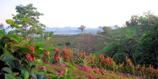 Urbanización cerrada con vista al mar en Parrita Terrenos 91017