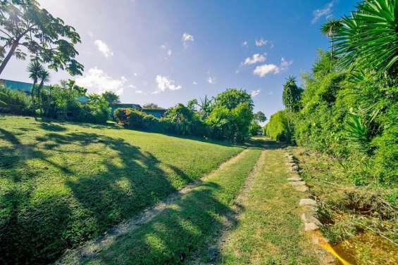 Lote de 1 hectarea, ideal para desarrollar, san rafael, montes de oca